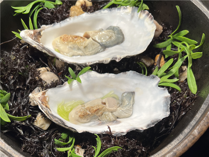 oysters being cooked